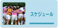 スケジュール